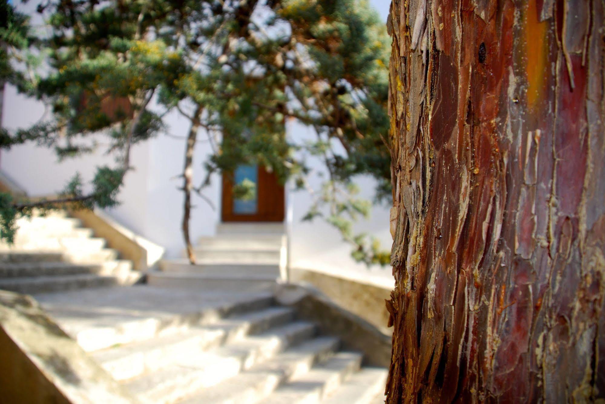 Apartamento Rural Castillo De Yeste 2 Pax (Adults Only) Eksteriør billede
